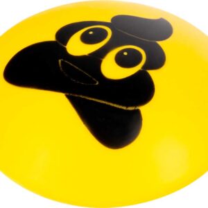 FACE-P
