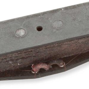 ANTIQUITY FOR SINGLE COIL P-BASS