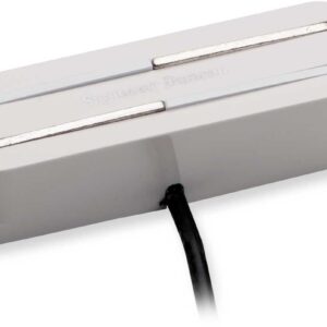 SVR-1B VNTG RAILS FOR STRAT WHITE