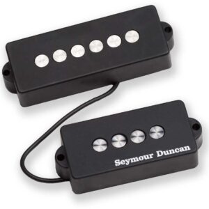P-BASS 5 STR QTR POUND
