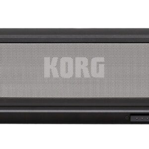KORG PAAS MKII