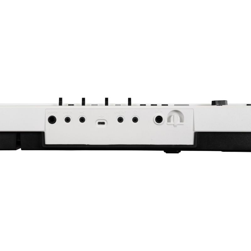KORG LIANO LIVE! - Imagen 4